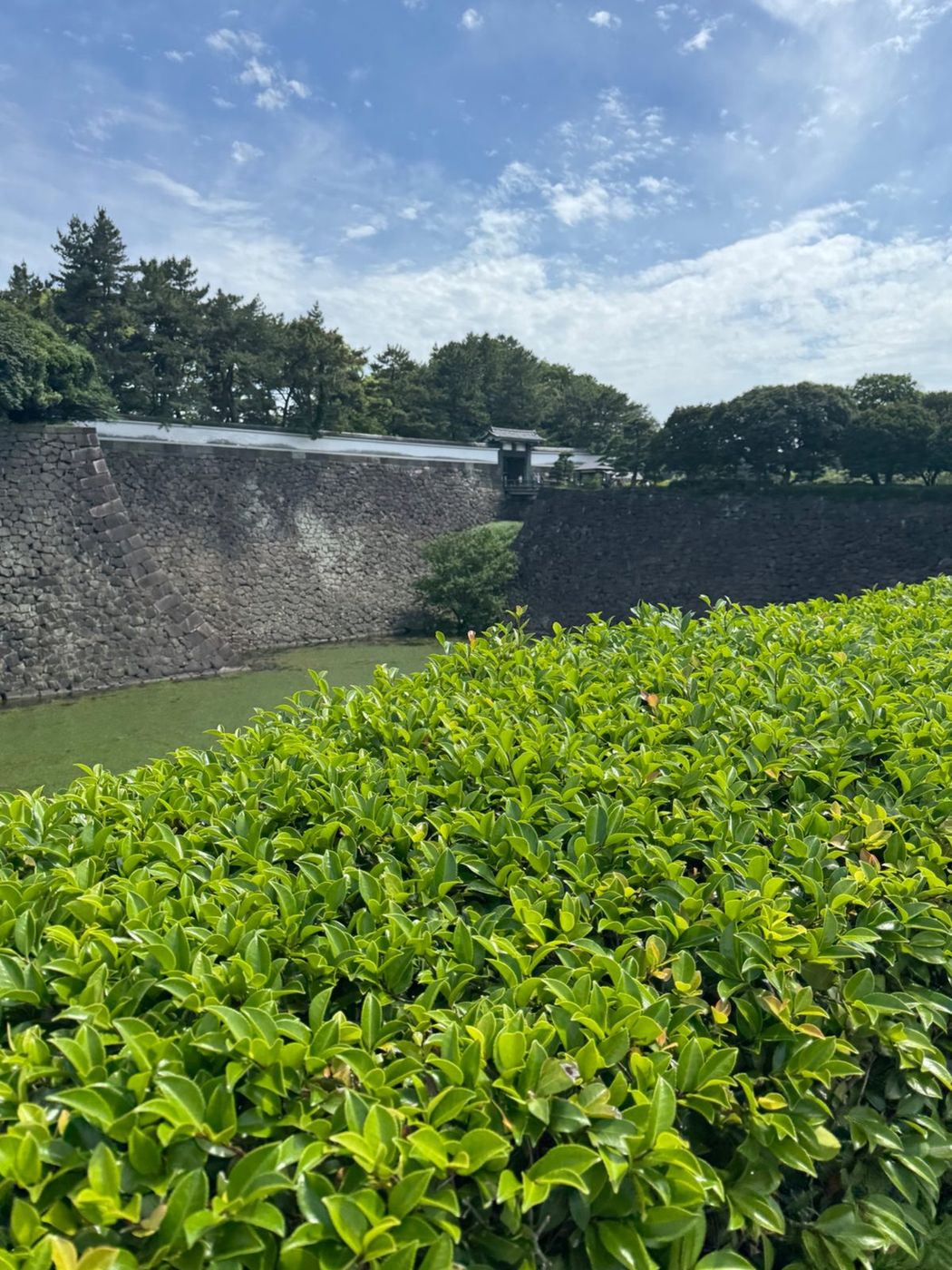 Moat, walls and gate, Edo Castle (No. 21)